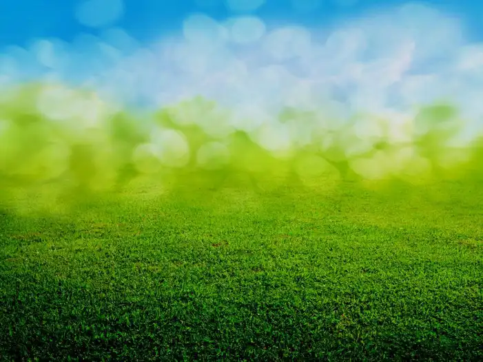 Green Grass Blue Sky Bokeh Background HD Images Free