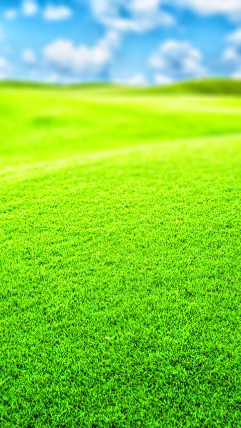 Green Grass Blur  Picsart Editing Background Full HD