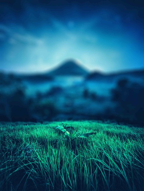 Green Grass CB Picsart Editing Background Full HD Download