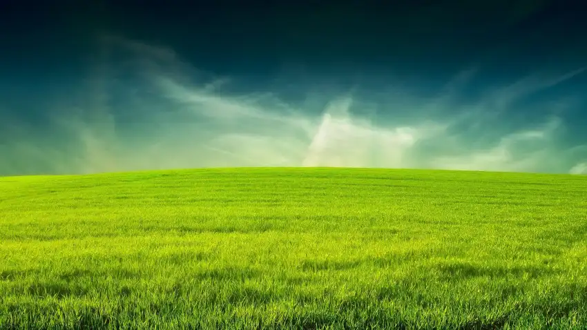 Green Grass Field Background Full HD Download