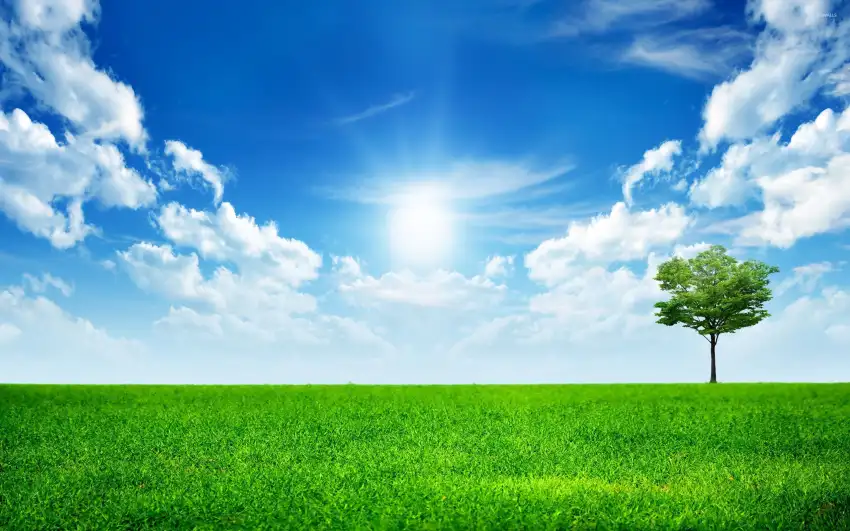 Green Grass Field Background Full HD Photos Download