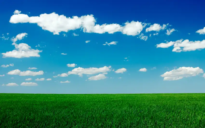 Green Grass Field Background Full HD Photos Download