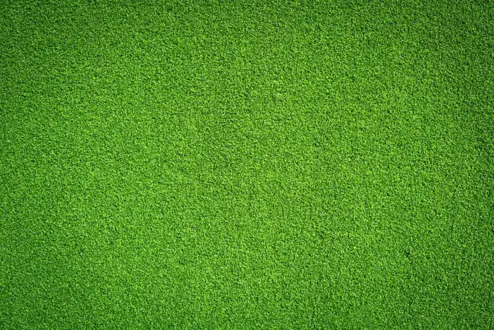 Green Grass Field Background HD Images Free