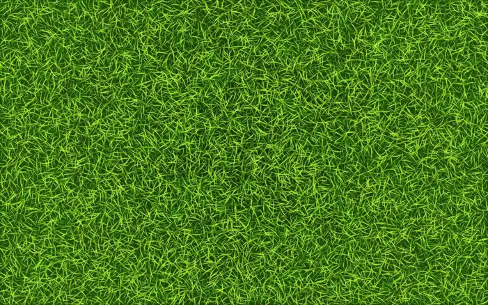 Green Grass Field Background HD Images Free