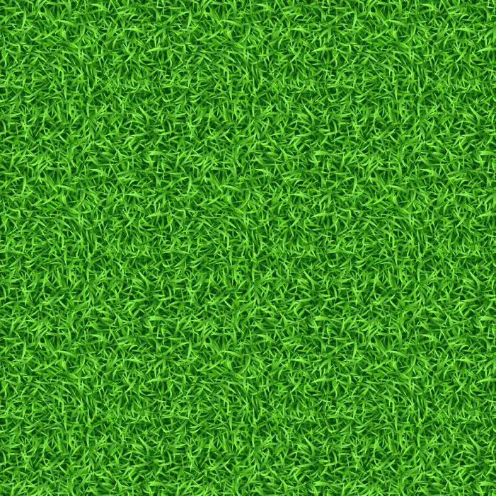 Green Grass Field Background HD Images High Quality