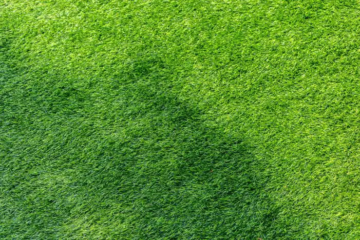 Green Grass Field Background HD Images High Quality