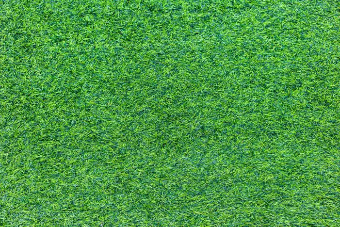 Green Grass Field Background HD Images High Quality