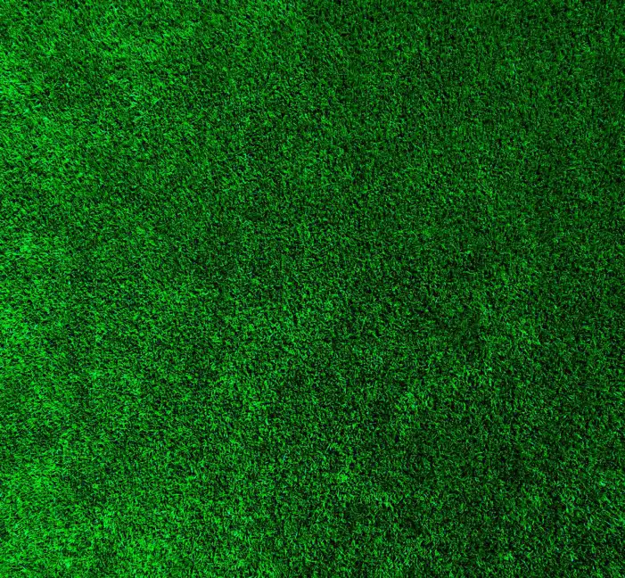 Green Grass Field Background HD Images High Quality