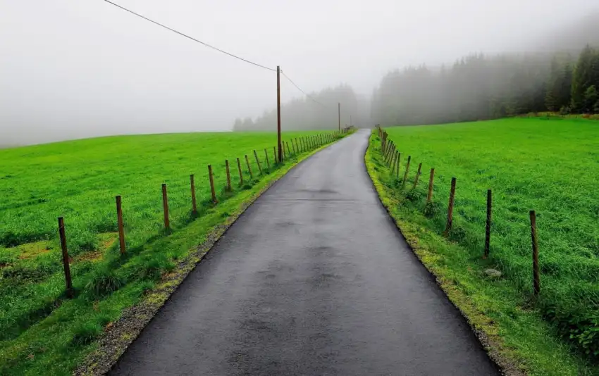 Green Grass Field Background HD Images Photos Download