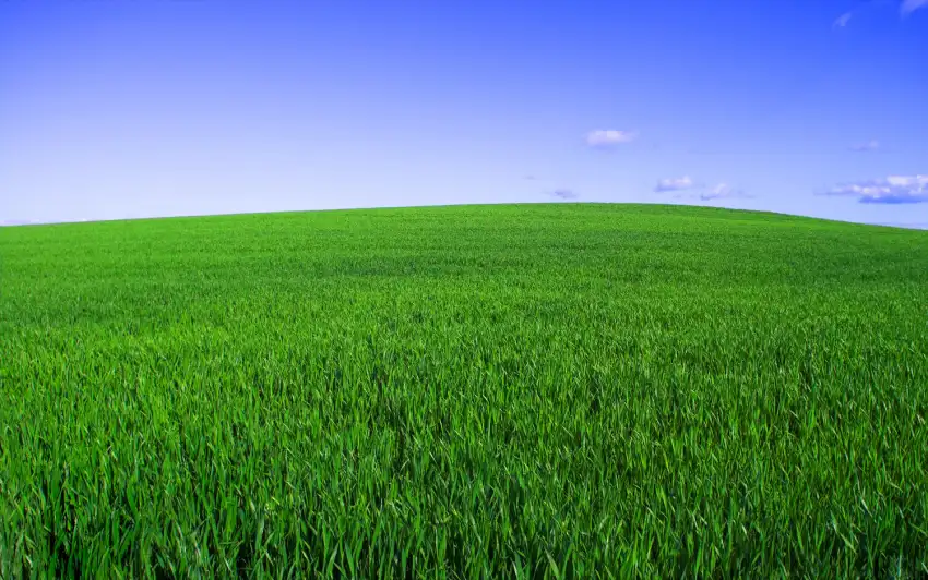 Green Grass Field Background HD Images Photos Download