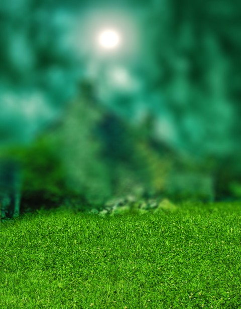 Green Grass Field CB Photoshop Editing Background HD  Download