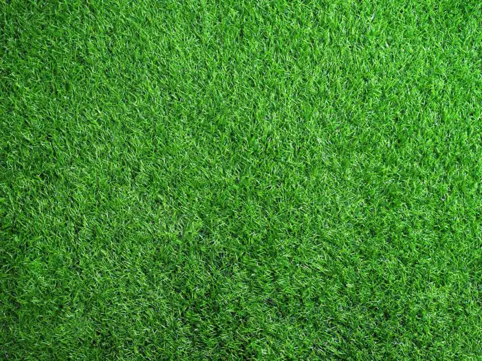 Green Grass Field Texture Editing Background HD Images Free