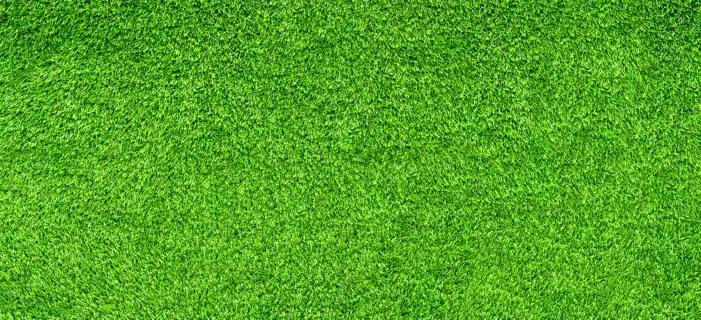 Green Grass Field Texture Editing Background HD Images Free