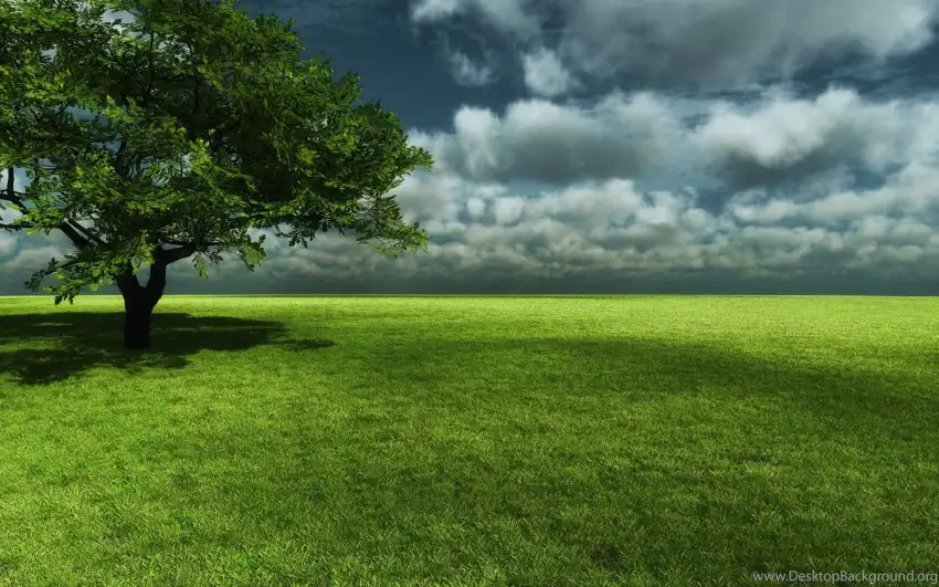 Green Grass Field Tree Background HDDownload