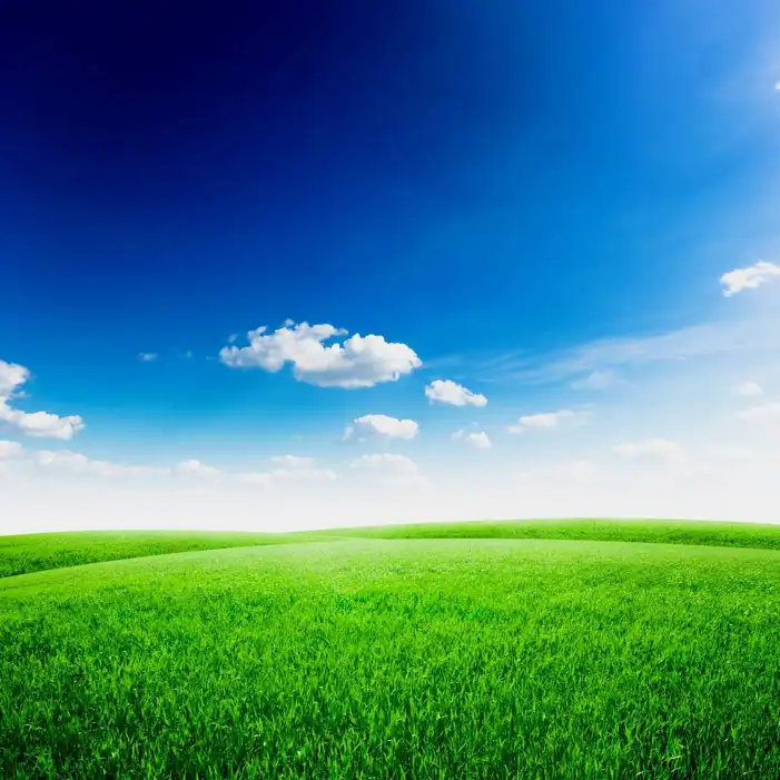 Green Grass Field With Sky Background HD Images Free