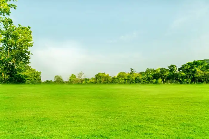 Green Grass Field With Sky Background HD Images Free