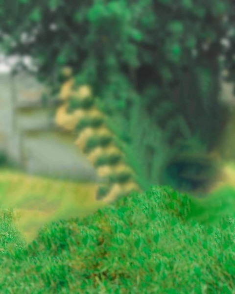 Green Grass PicsArt Background HD Background