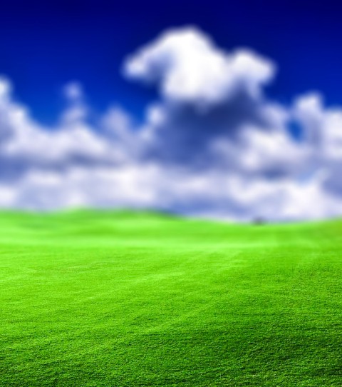 Green Grass Sky CB Picsart Editing Background Full HD