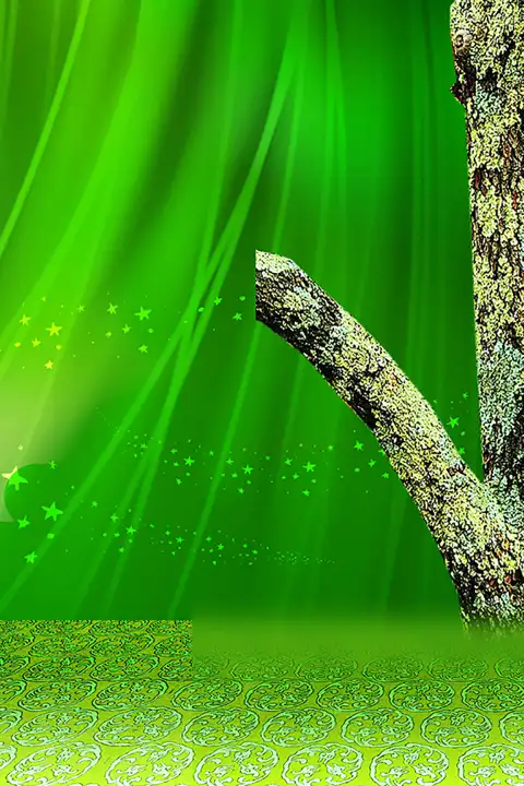 Green Indoor Studio Background HD Images Download