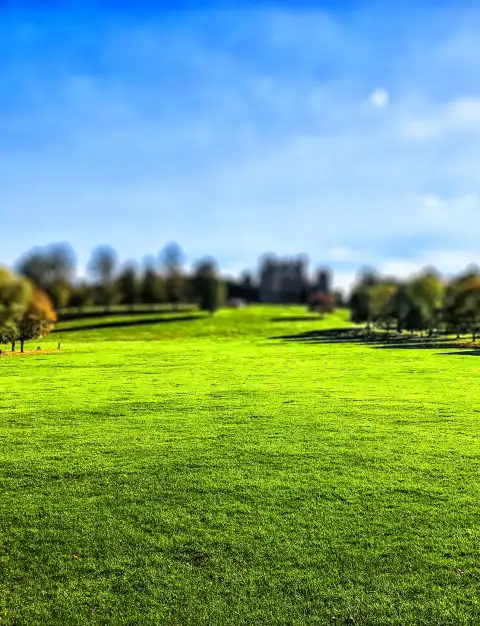 Green Nature Field CB Picsart Editing Background HD Download