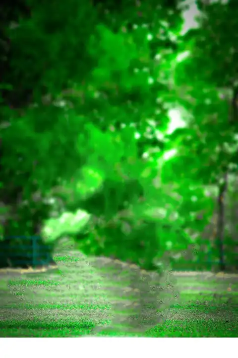 Green Nature Snapseed Editing Background Full HD Download