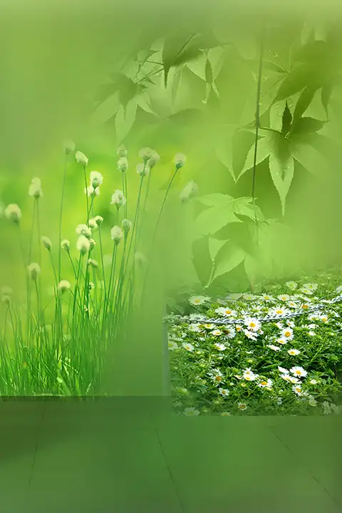 Green Outdoor Studio Background HD Download