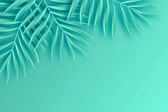 Green Pastel Background HD  Images Download