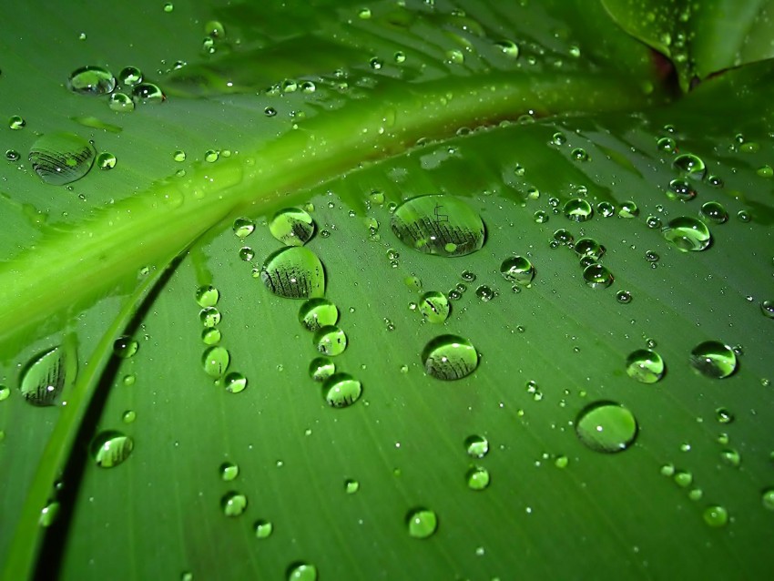 Green Rain Droplets HD Background Download