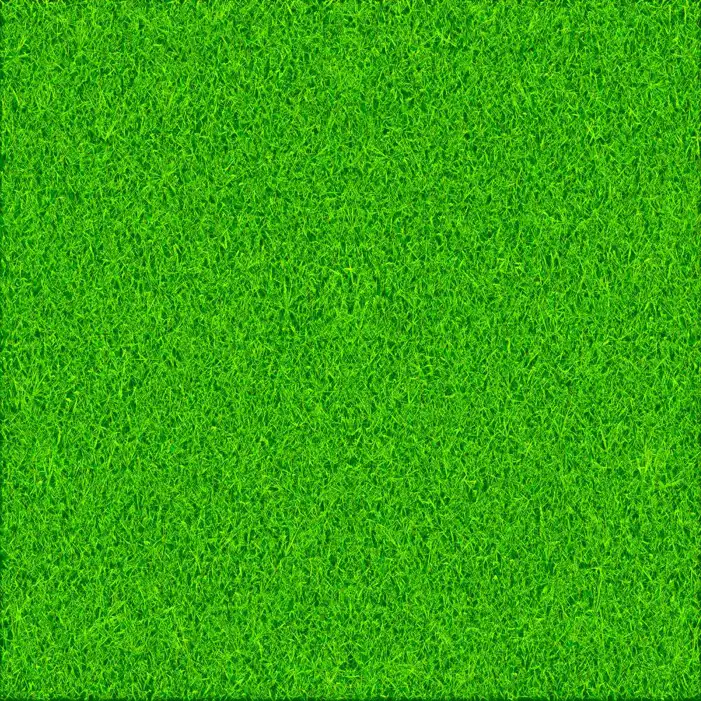 Green Real Grass Field Editing Background HD Images Free