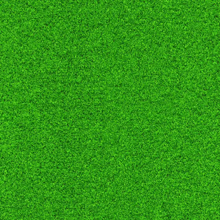 Green Real Grass Field Editing Background HD Images Free