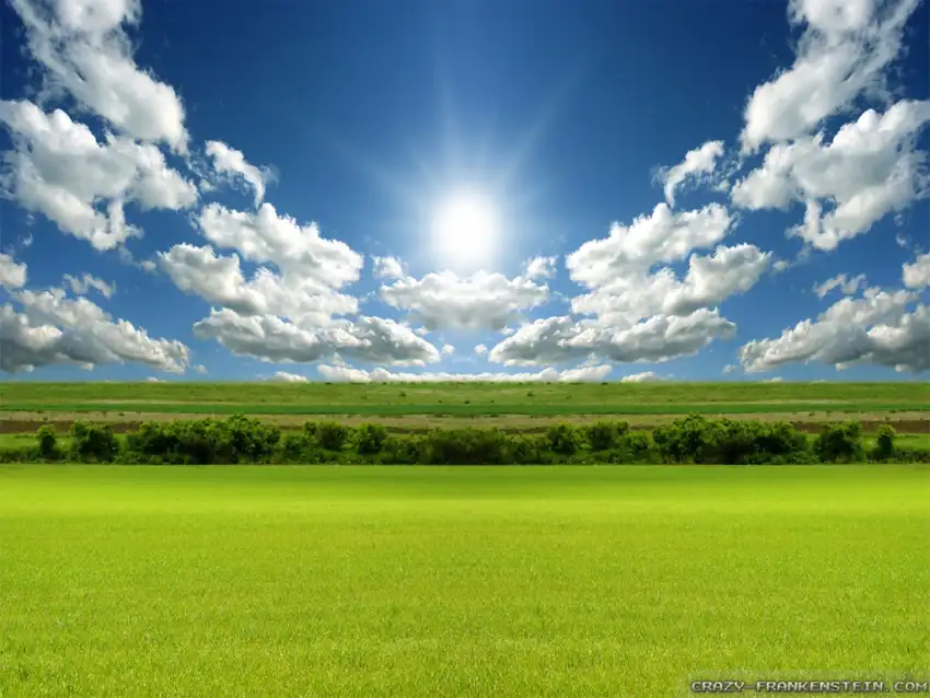 Green Spring Field Background HD Download