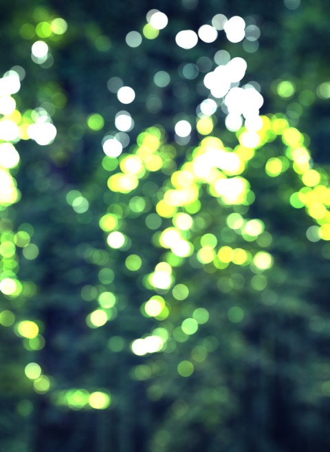 Green Tree Blur CB  Editing Background HD Download