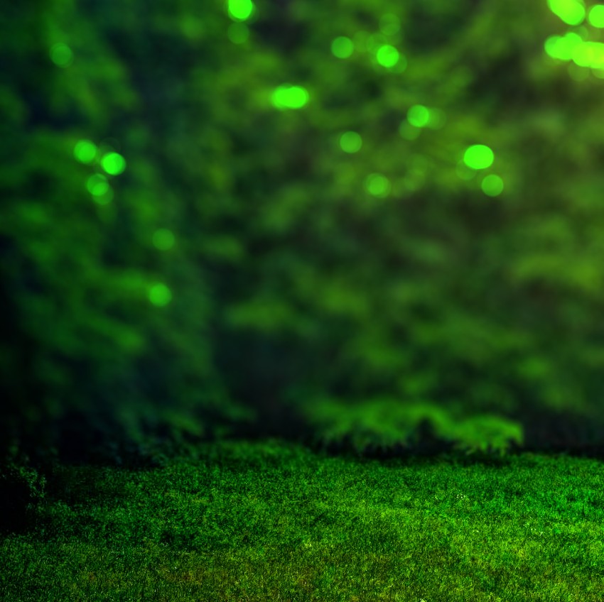 Green Tree Forest Blur CB Picsart Background HD Download