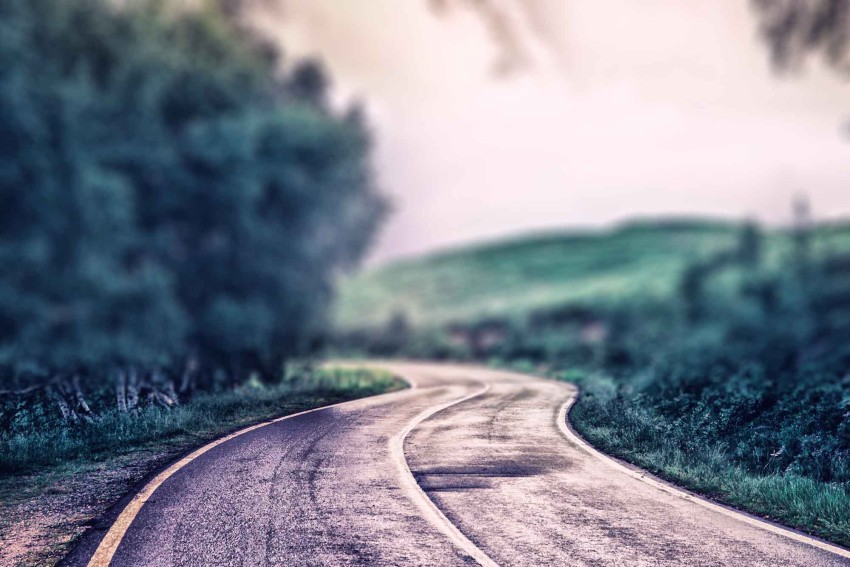 Green tree Road CB Picsart Editing Background HD Download