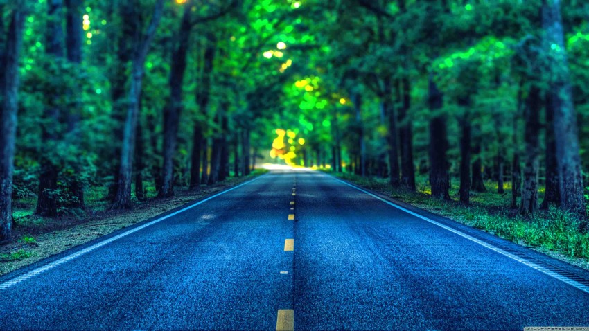 Green Tree Road Editing Background  Full HD   Download Free