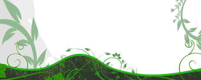 Green Tree  Wedding Album Backgrounds HD Wallpapers