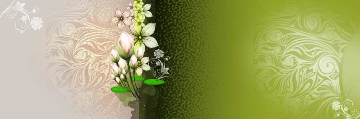 Green  Wedding Album Backgrounds HD Wallpapers