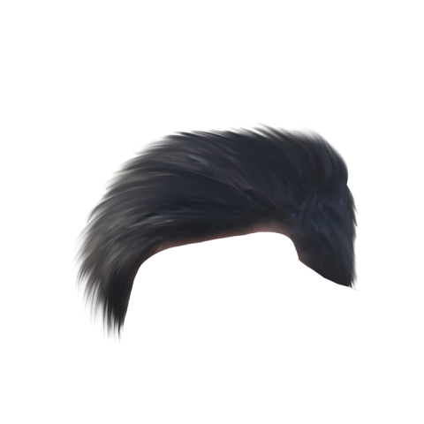 Hair PNG File Transparent Background HD