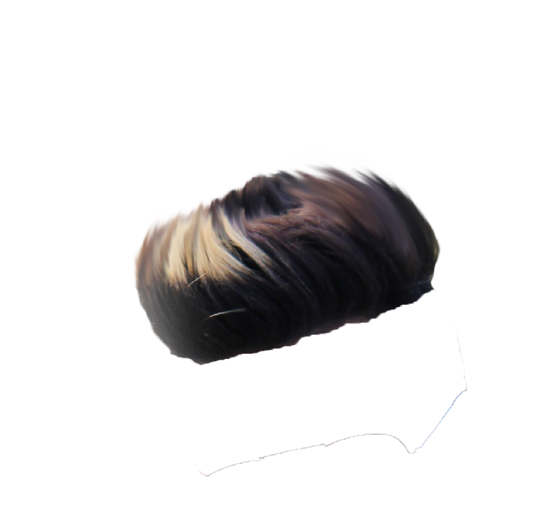 Hair PNG File Transparent Background HD