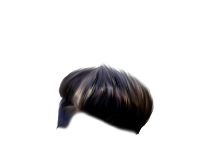 Hair PNG File Transparent Background HD