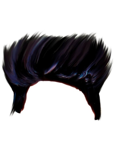 Hair PNG High Resolution For PicsArt Editing