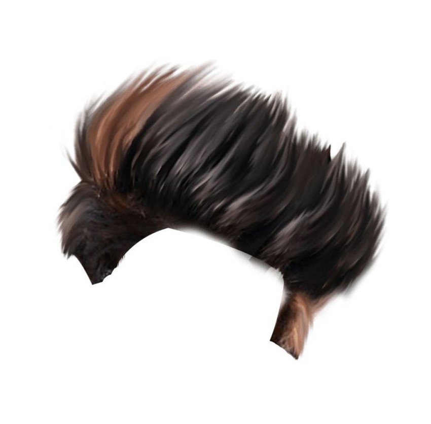 Hair PNG Images Download  For CB Editing