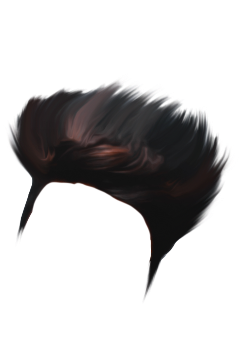 Hair PNG Transparent Images Download Free