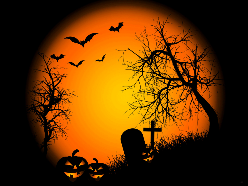 Halloween Banner HD Background Wallpaper Download