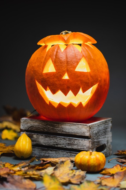 Halloween Banner HD Background Wallpaper Download