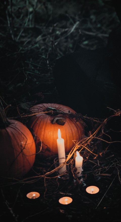 Halloween Blurred  Wallpaper Background  Pic