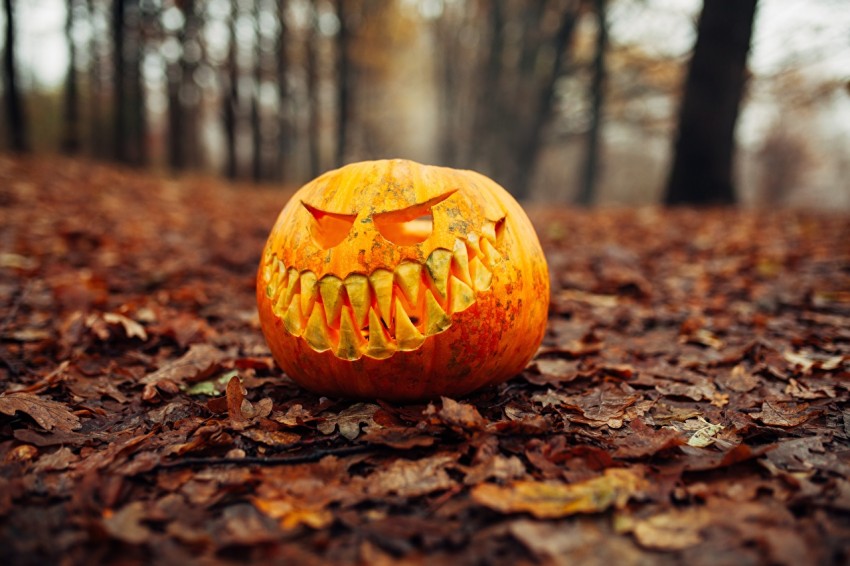 Halloween Blurred  Wallpaper Background  Pic