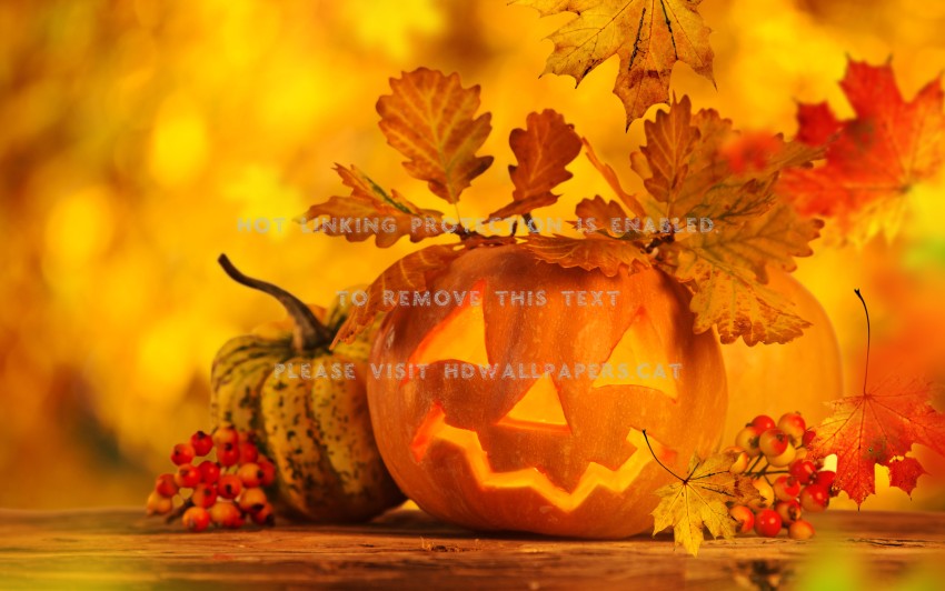 Halloween Candel HD Wallpapers Backgrounds