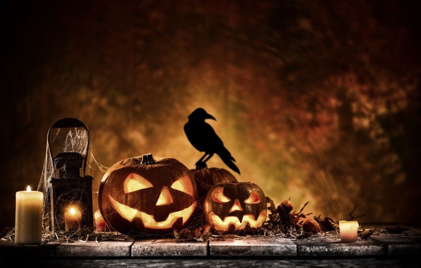 Halloween Candel HD Wallpapers Backgrounds