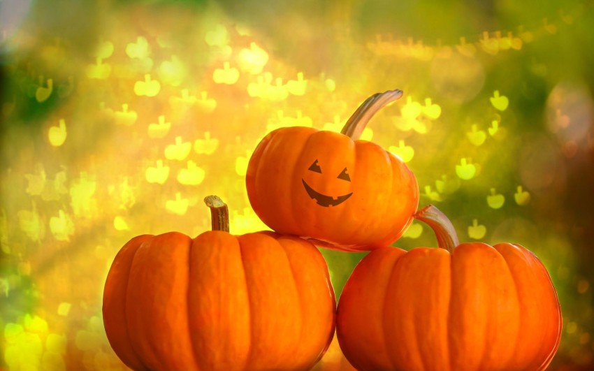 Halloween Computer Laptop  Wallpaper Full HD